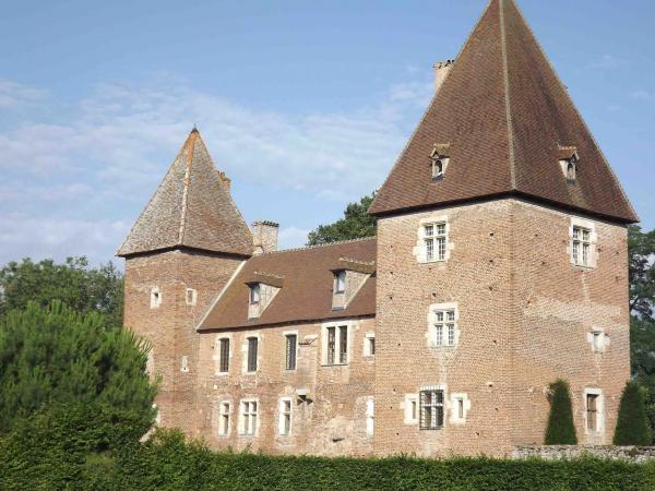 Chateau en briques